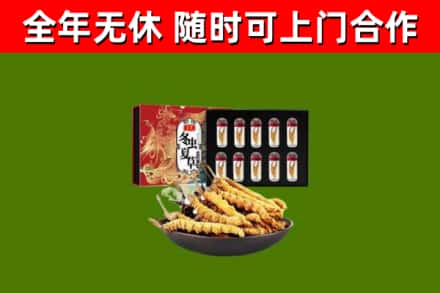 光泽县回收冬虫夏草价格