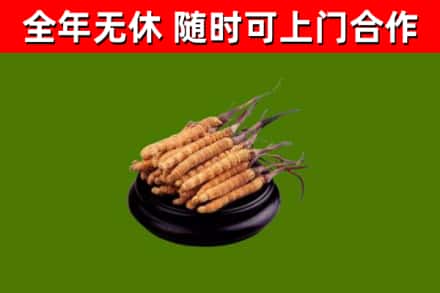 光泽县烟酒回收冬虫夏草.jpg