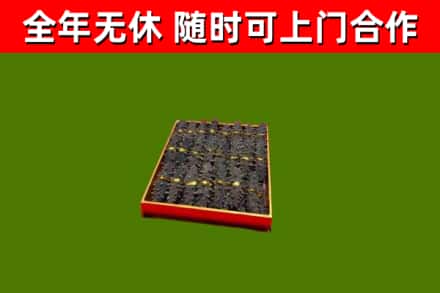 光泽县回收海参
